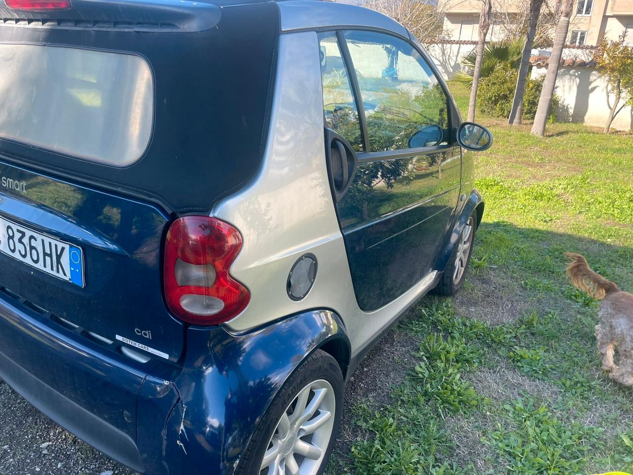 Smart ForTwo 800 coupé passion cdi