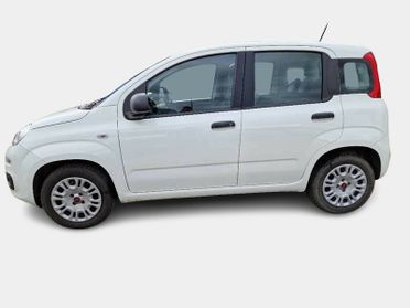 FIAT PANDA 1.2 69cv S/S E6d-Temp Easy 5 PORTE