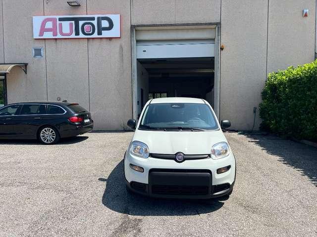 Fiat Panda 1.0 FireFly S&S Hybrid Pandina