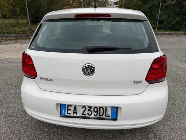 VOLKSWAGEN Polo 1.6 TDI DPF 5P senza nessun lavoro da fare