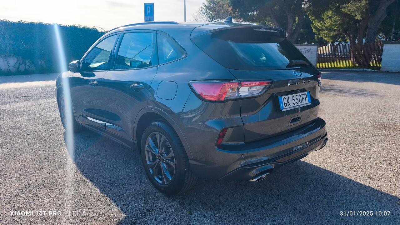 Ford Kuga 1.5 EcoBlue 120 CV aut. 2WD ST-Line 2022