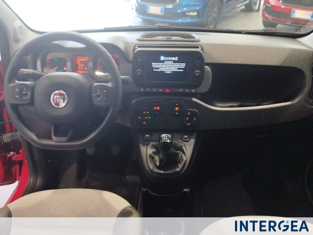 FIAT Panda 1.0 firefly hybrid Sport s&s 70cv