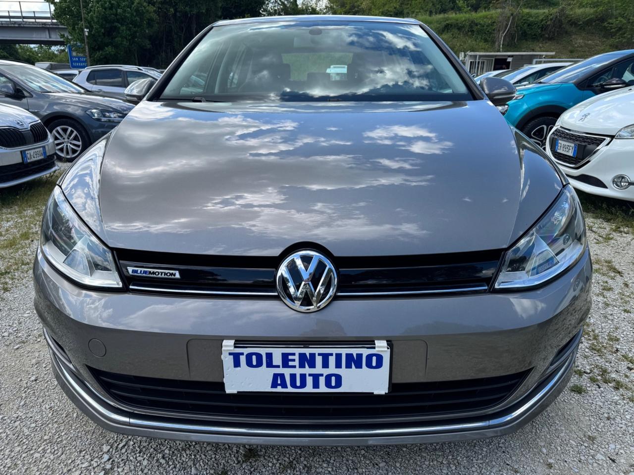 Volkswagen Golf 1.4 TGI 110Cv Highline BlueMotion