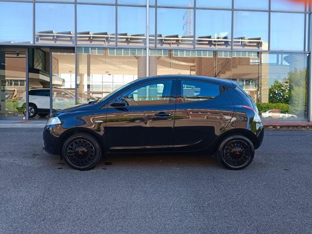 LANCIA Ypsilon 1.2 69 CV 5 porte Elefantino