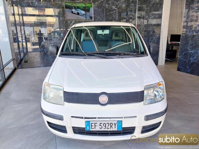 FIAT Panda 1.2 Dynamic ( Garanzia 12 Mesi)