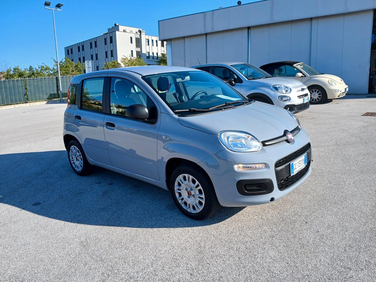 Fiat Panda 1.2 BENZINA 70CV 2020 EASY