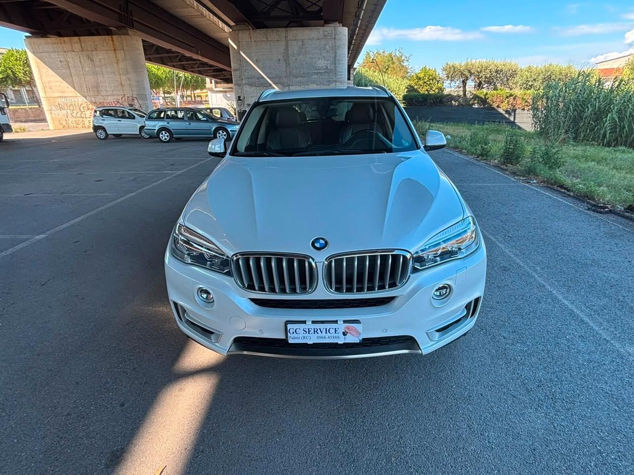 Bmw X5 sDrive25d Luxury CERCHI DA 20 POLLICI