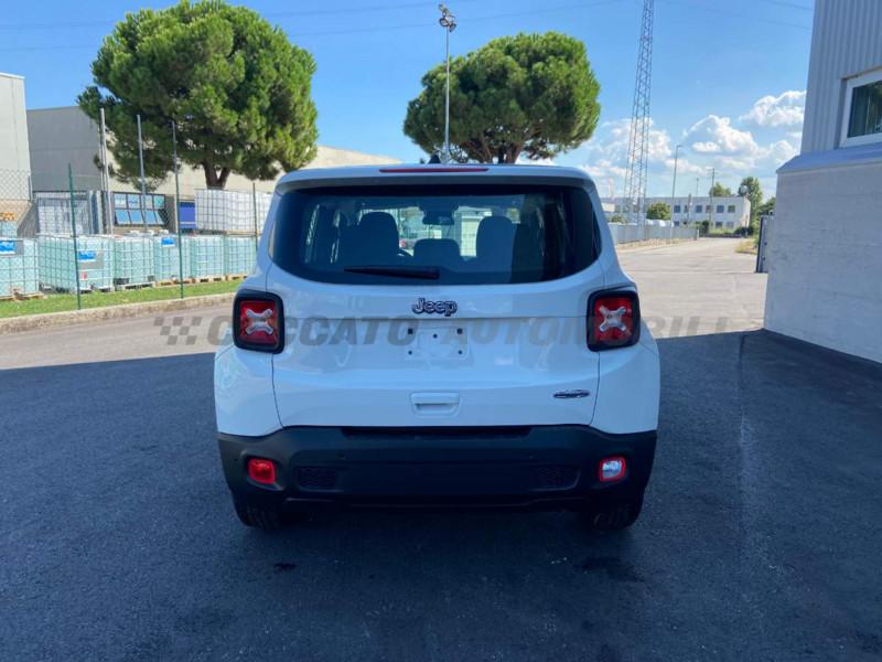 Jeep Renegade Renegade My21 Business 1.3 GseT4 150cv Ddct