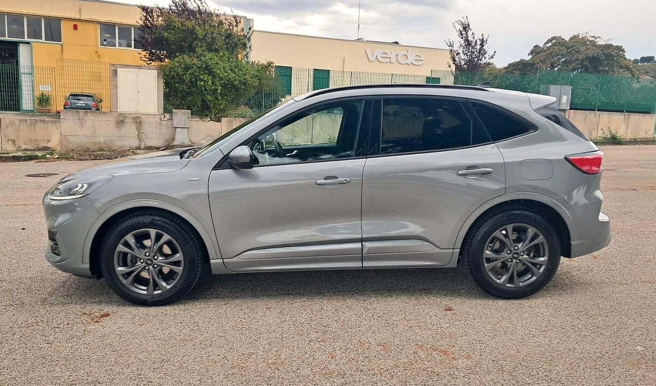 Ford Kuga 1.5 EcoBlue 120 CV 2WD ST-Line (Iva esposta)