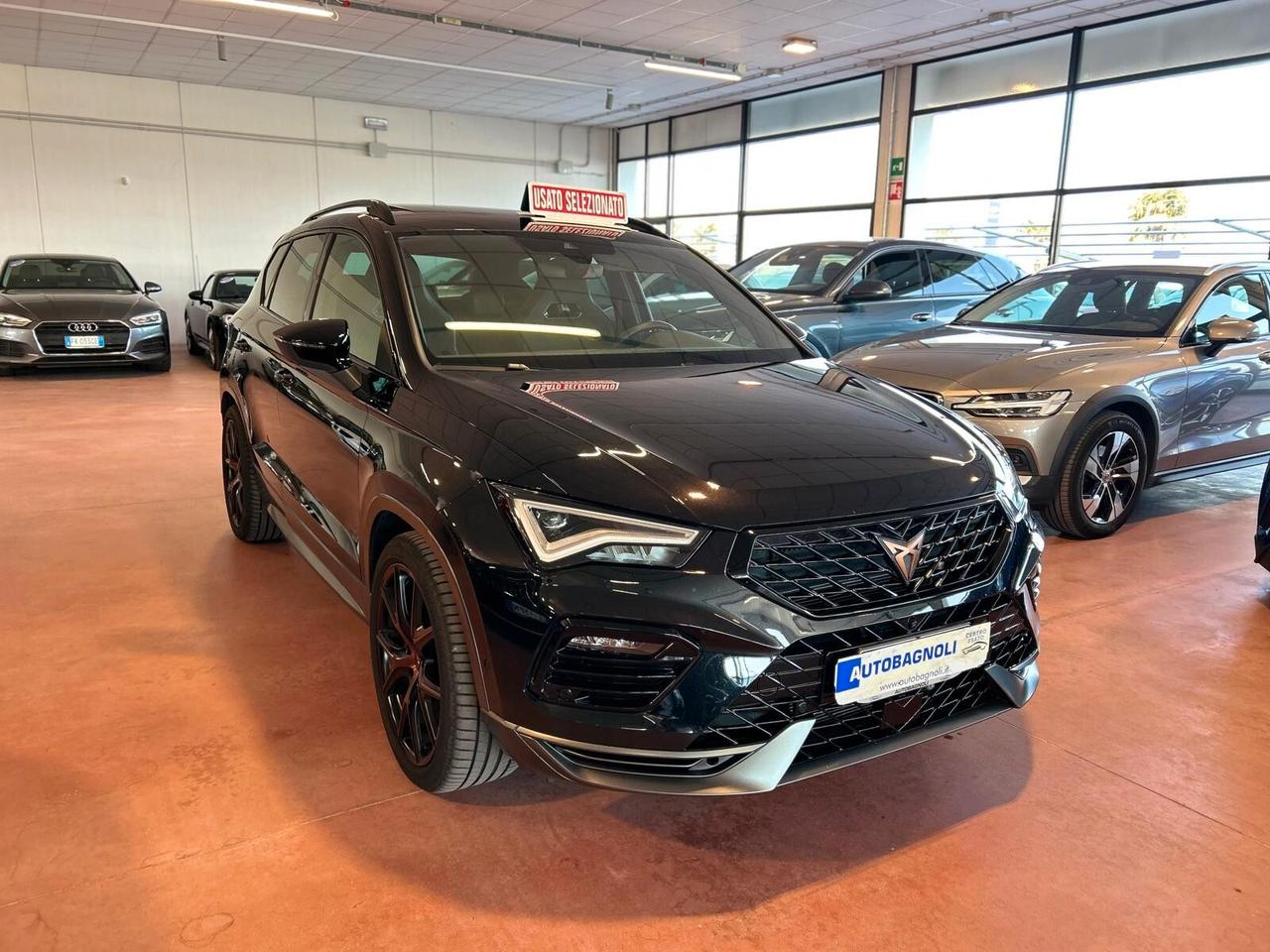 Cupra Ateca 2.0 TSI 300 cv DSG 4Drive TETTO