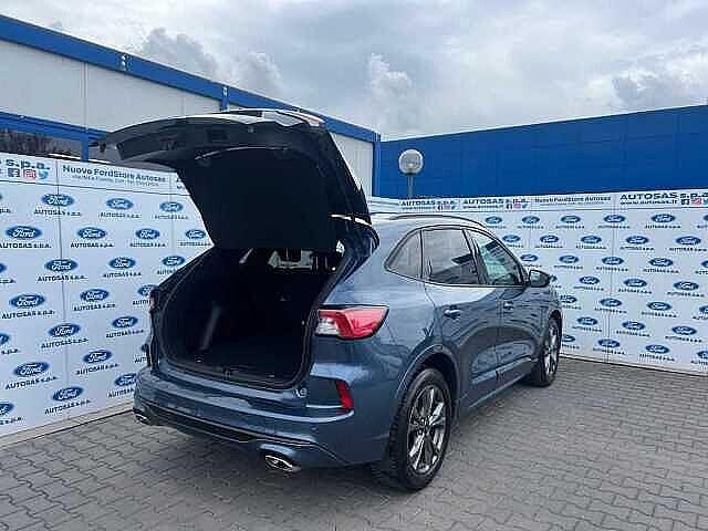 Ford Kuga 1.5 EcoBlue 120 CV 2WD ST-Line