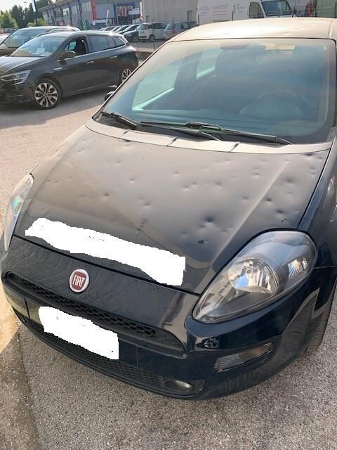 Fiat Punto Evo Pop