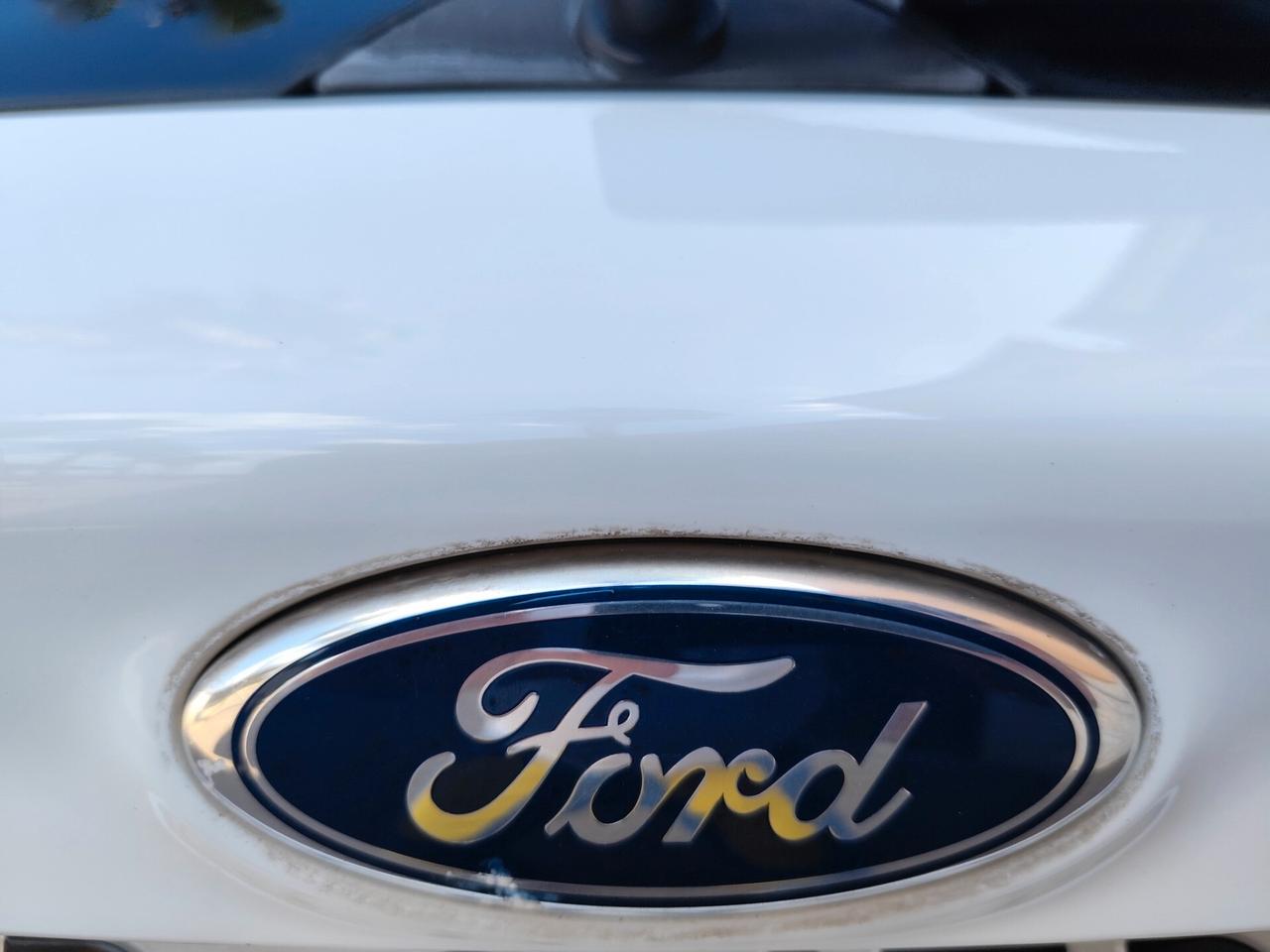 Ford Kuga 2.0 TDCi 163 CV 4WD Titanium DPF