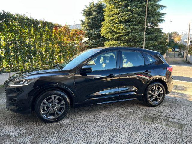 FORD Kuga 1.5 EcoBlue 120 CV aut. ST-Line