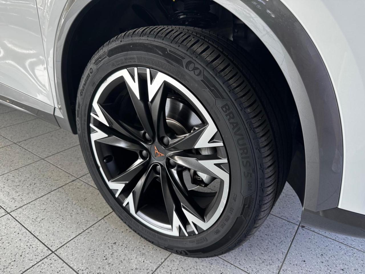 CUPRA Formentor 2.0 TDI 4Drive DSG - TELECAMERA!