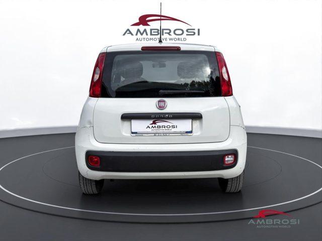 FIAT Panda 1.2 Easy - PER OPERATORI DEL SETTORE