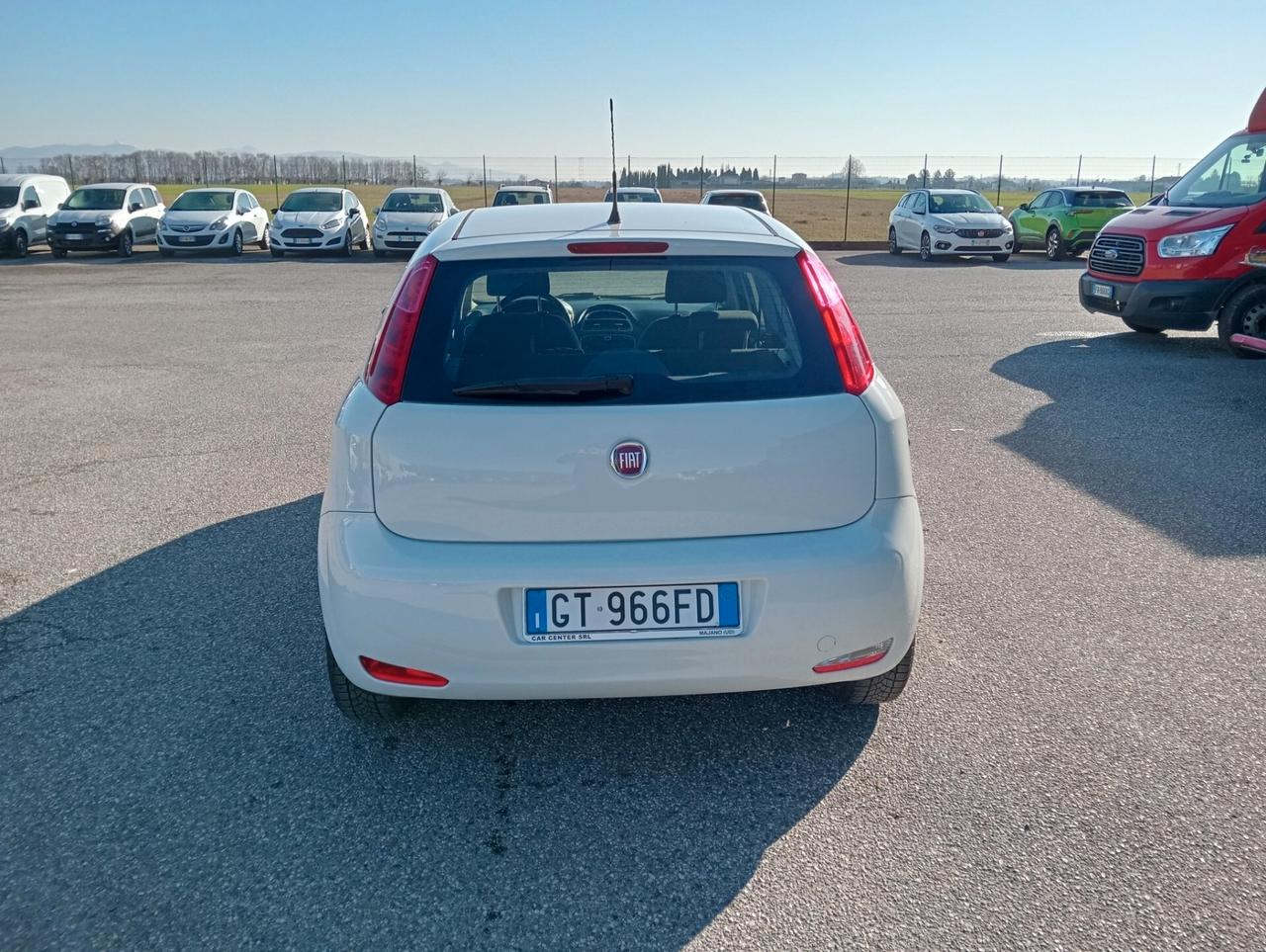 Fiat Punto 1.2 Street 5 porte OK NEOPATENTATI