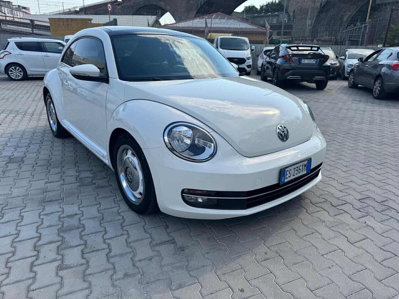 VW MAGGIOLINO 1.6 TDI 105 CV