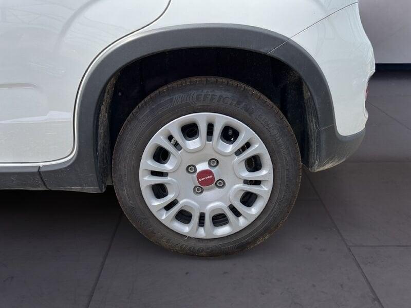 FIAT Panda My23 1.0 70cv Hybrid Panda