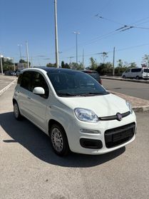 Fiat Panda 1.2 Benzina Young