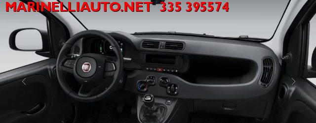 FIAT Panda 1.0 Hybrid Pop 70CV PRONTA CONSEGNA