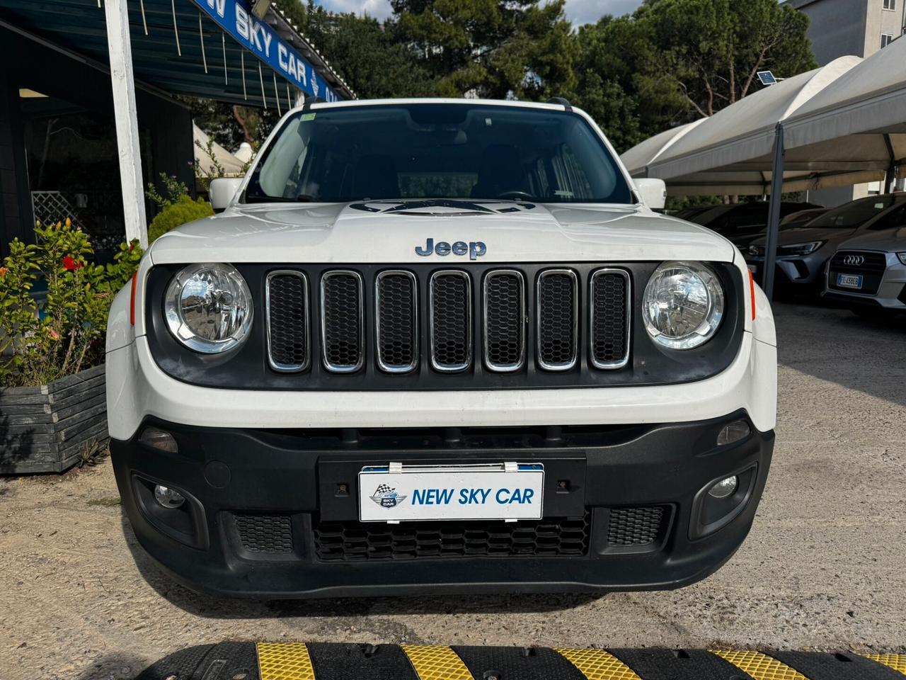 Jeep Renegade 1.6 Mjt 120 CV Longitude