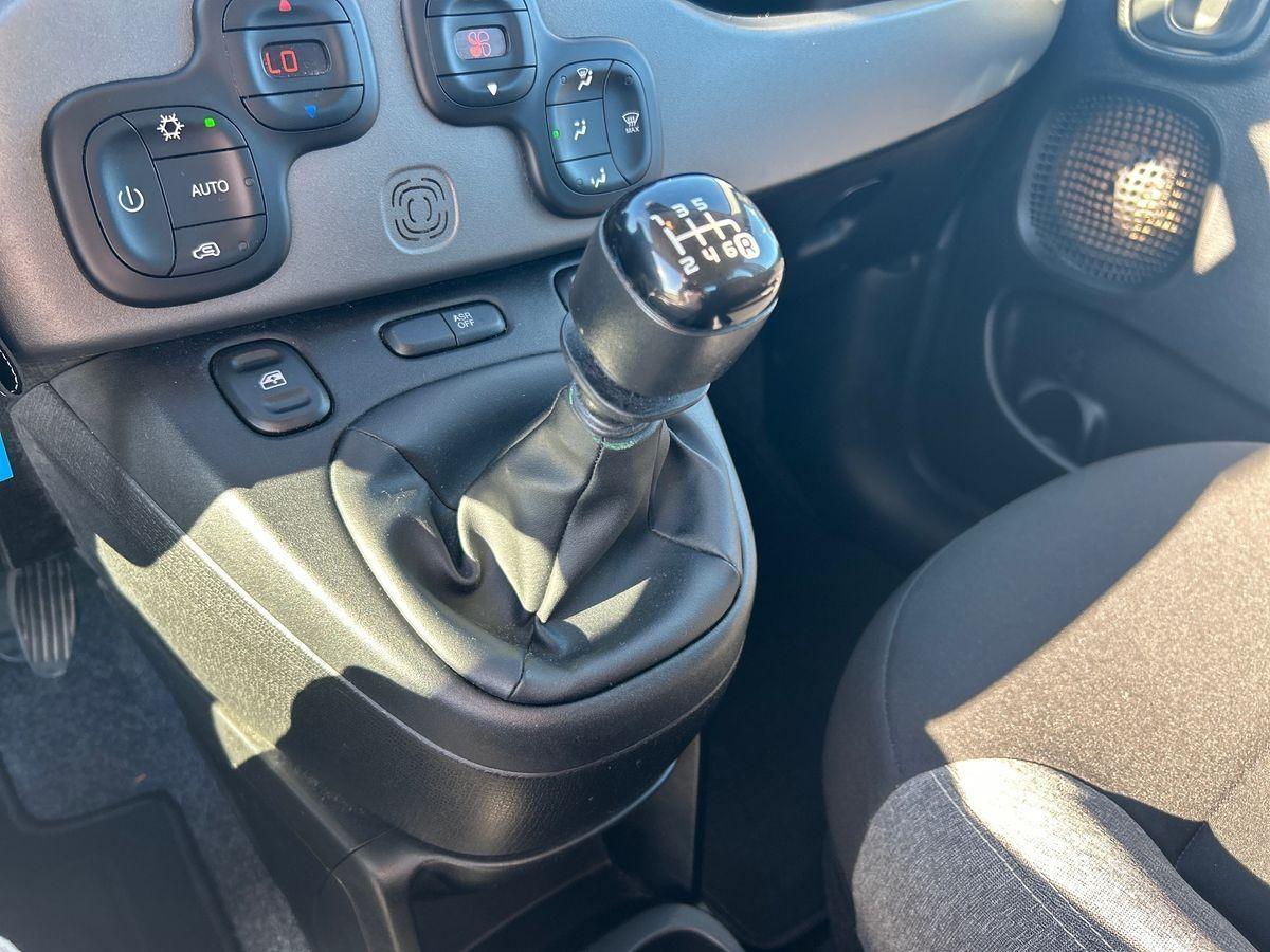 FIAT Panda 3ª serie - Panda 1.0 FireFly S&S Hybrid City Cross