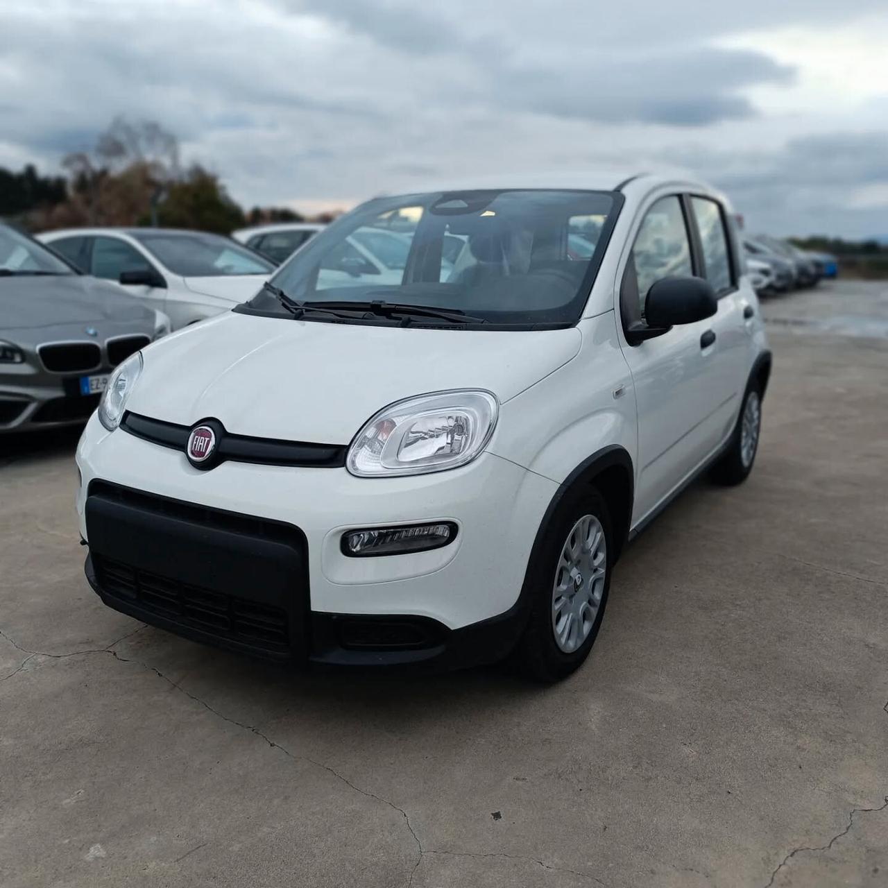 Fiat Panda 1.0 S&S Hybrid Pandina KM0 PRONTA CONSEGNA