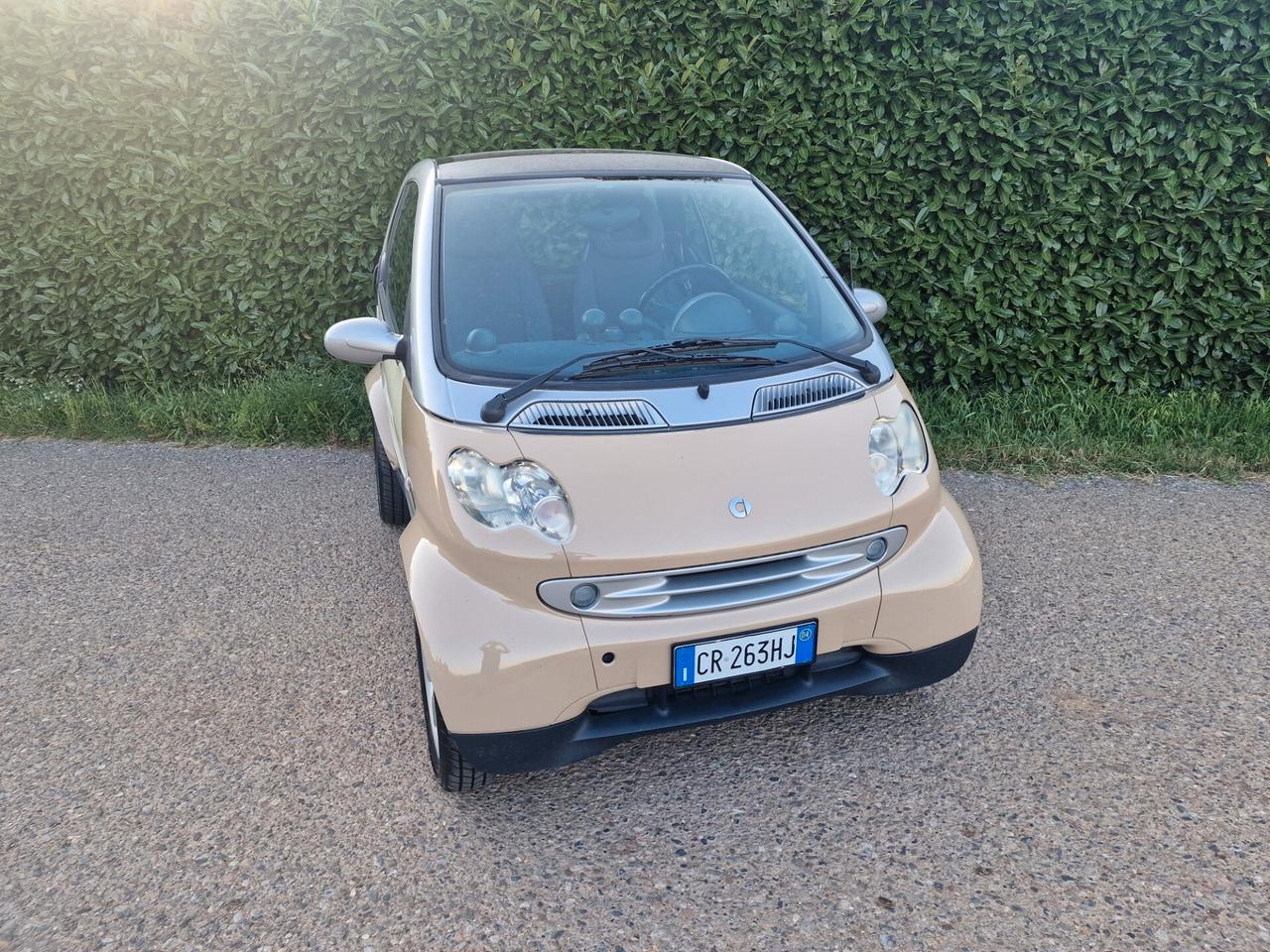 Smart ForTwo 700 45kw