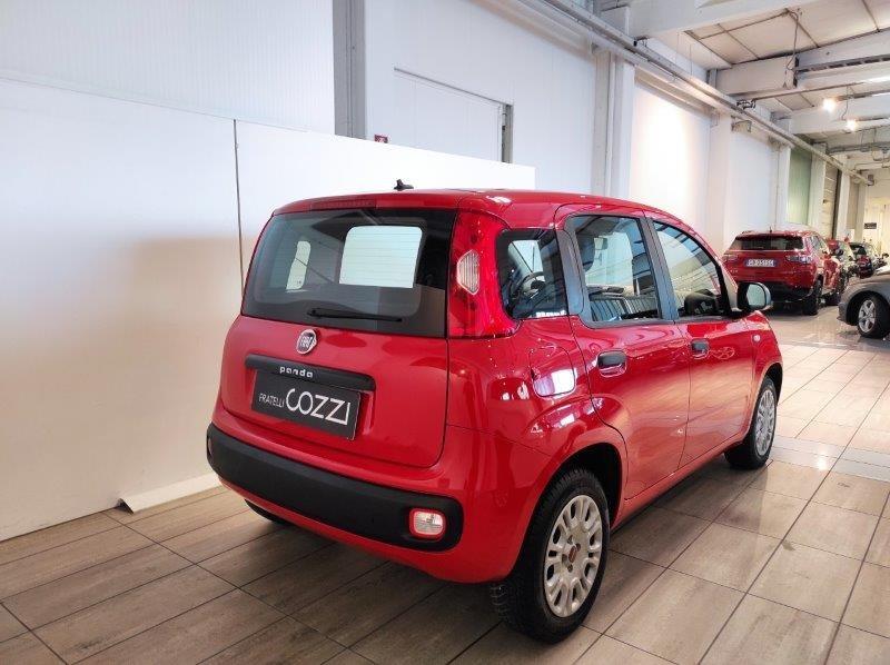 FIAT Panda 3ª serie - Panda 1.2 Easy