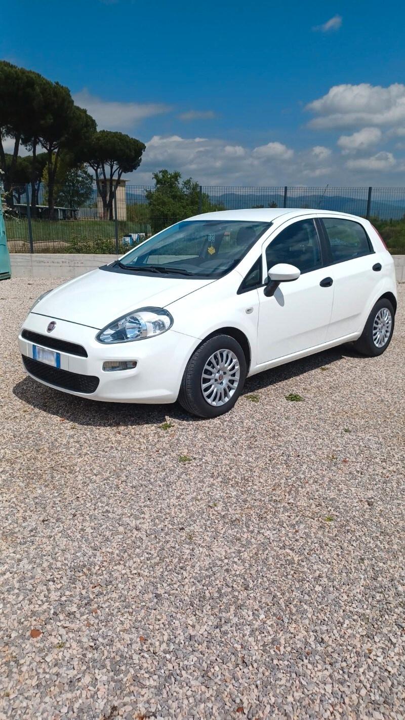 FIAT Punto 4ª serie Punto 1.2 8V 5 porte Street