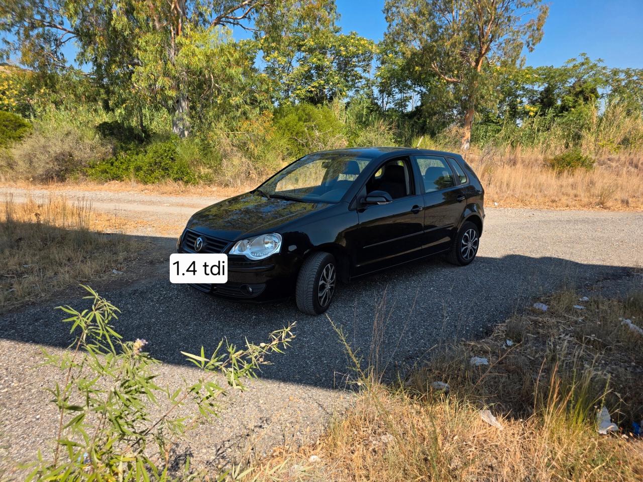 Volkswagen Polo 1.4/69CV TDI 5p. Trendline