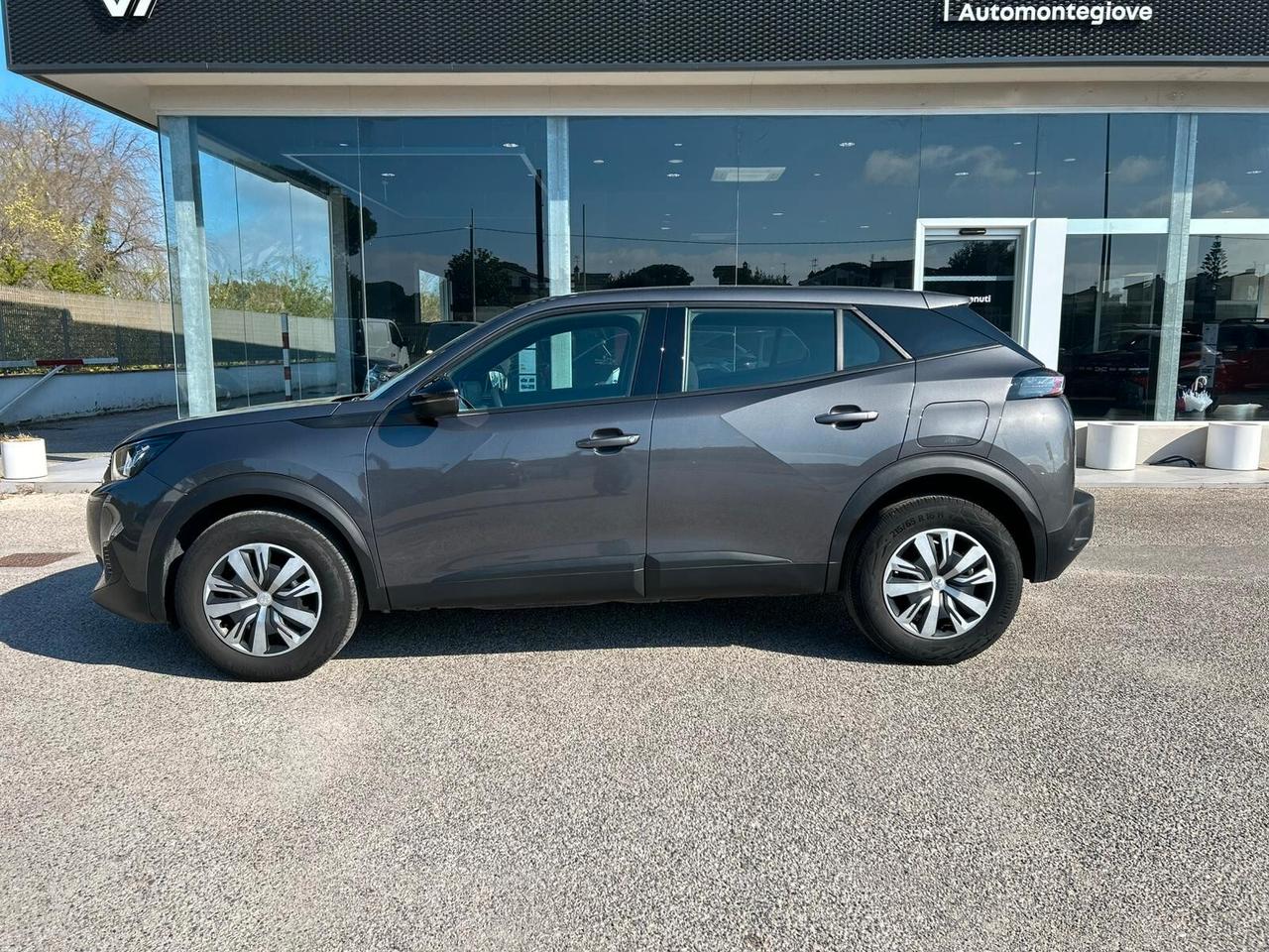 Peugeot 2008 PureTech 100 S&S Active Pack