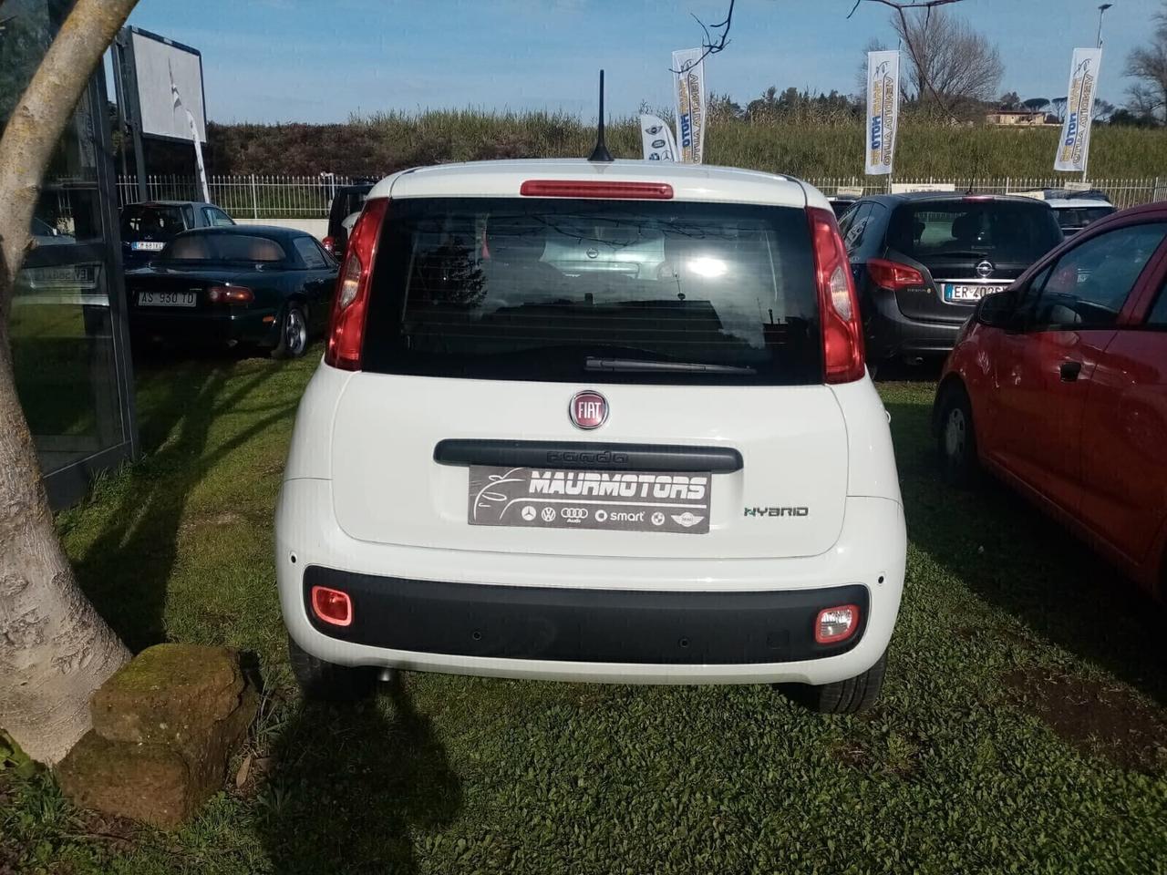 NOLEGGIO FIAT PANDA 1.0 FIREFLY SS HYBRID PANDINA