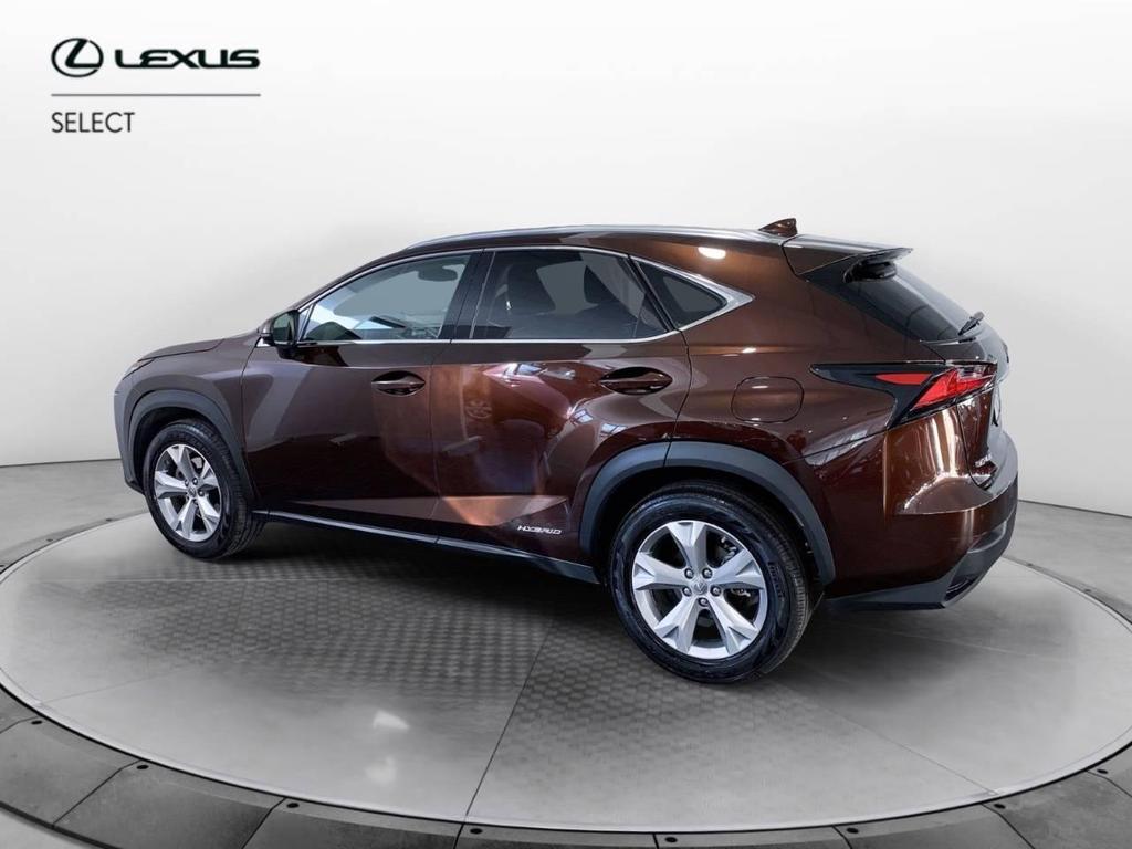 Lexus NX 300 300 2.5 Hybrid Luxury 4WD CVT