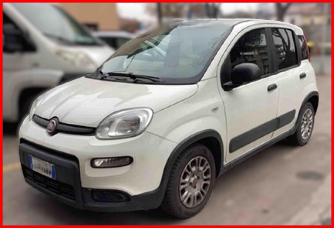 FIAT PANDA 1.0 70cv Hybrid Euro 6d Van 4 p. Street