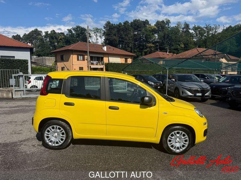 FIAT Pandina 1.0 FireFly 65cv S&S 6m Hybrid Pop-PROMO GALLOTTI