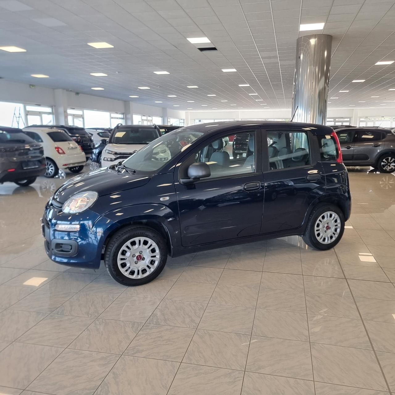 FIAT PANDA EASY 1.2 bz 69cv Euro 6D