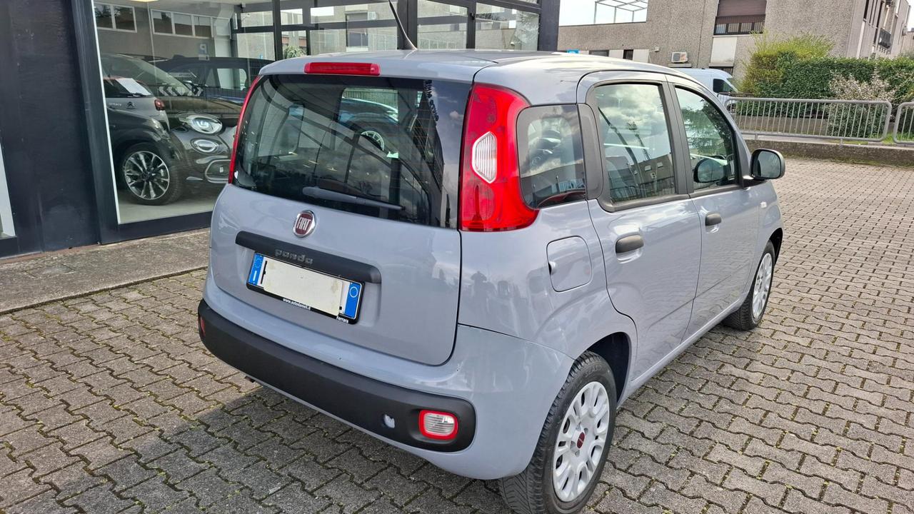 Fiat Panda 1.2 Easy easypower Gpl 69cv my19