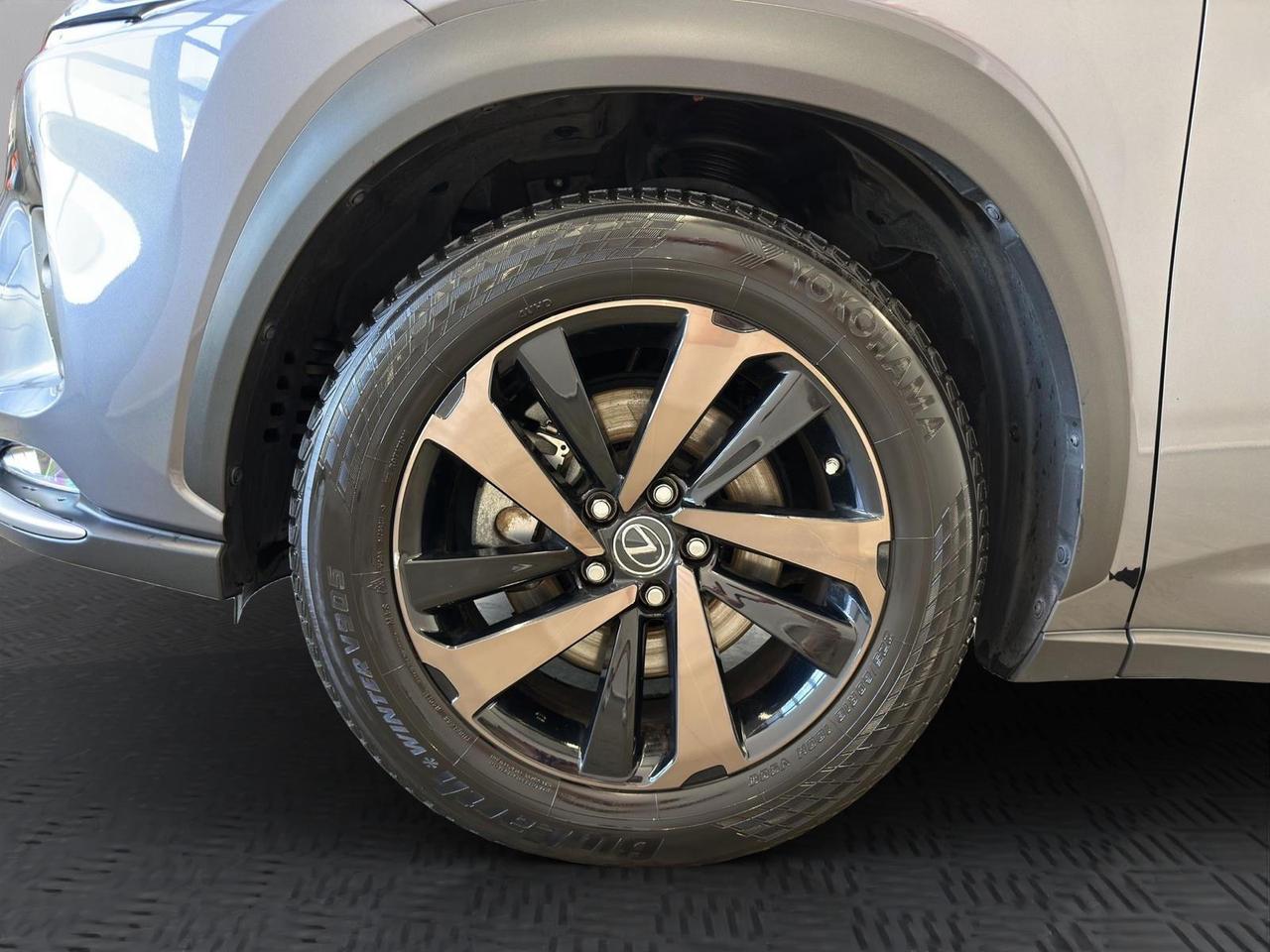 Lexus NX 300h 2.5 Premium 4wd cvt