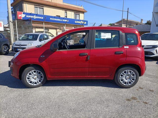 FIAT Panda 1.0 FireFly S&S Hybrid PREZZO REALE