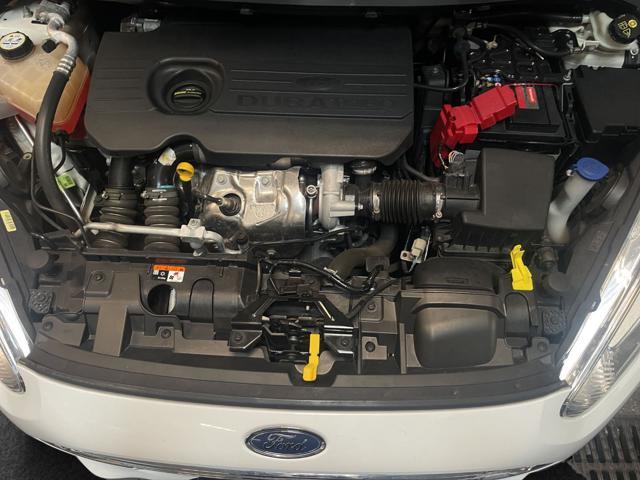 FORD Fiesta 1.5 TDCi 75CV 5 porte Business
