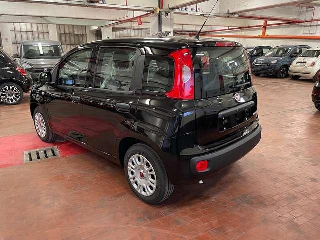 Fiat Panda 1.0 Hybrid 70cv 36 Rate da 177,95