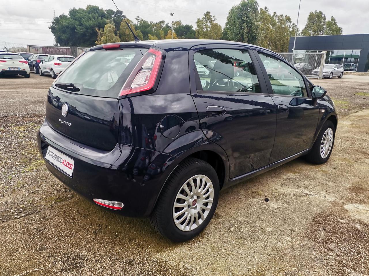 Fiat Punto 5 Porte Punto 5p 1.4 Easy s&s