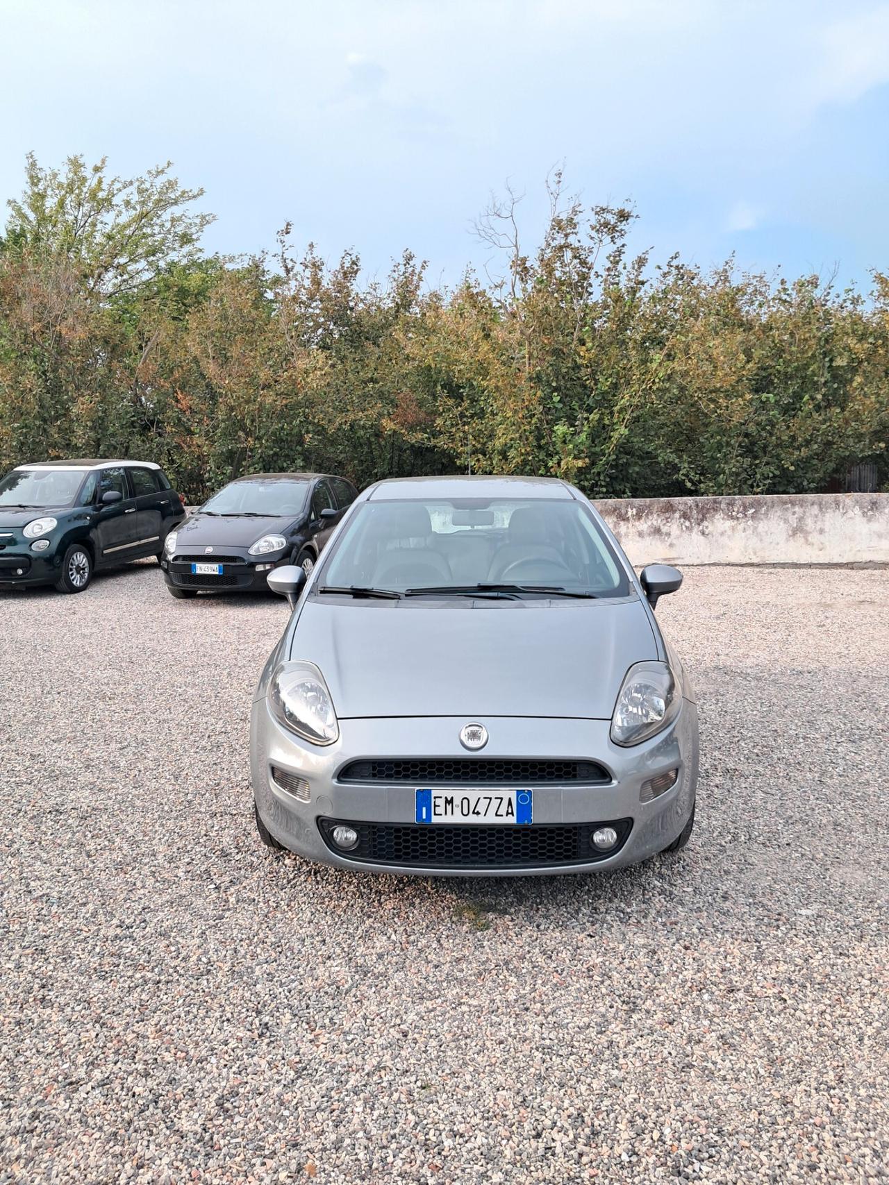 Fiat Punto 1.2 8V porte Dynamic