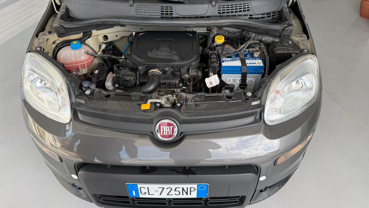 Fiat Panda 1.0 FireFly S&S Hybrid City Cross