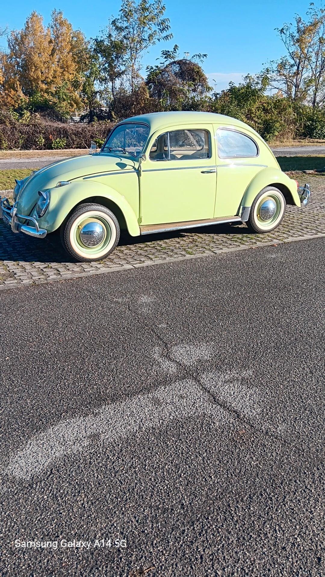 Volkswagen Maggiolino "Nasino"