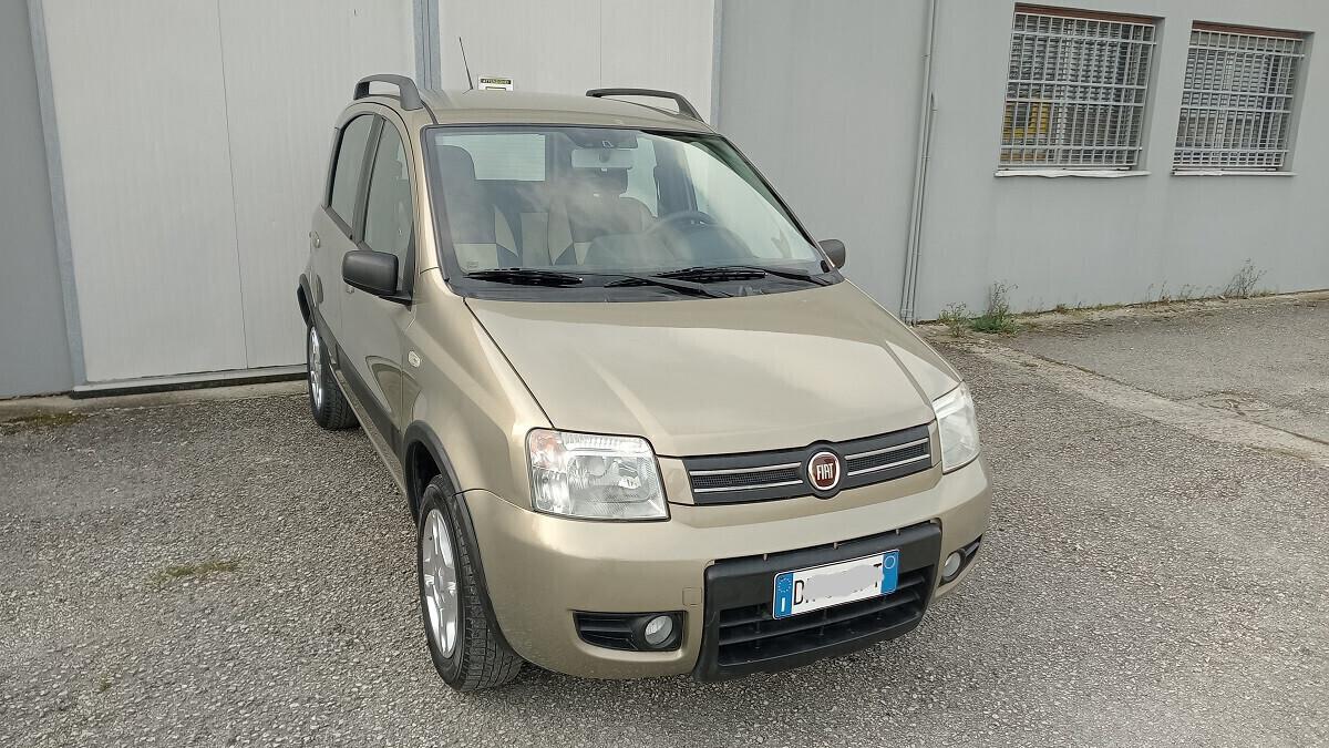 Panda Climbing Natural Power - Motore revisionato