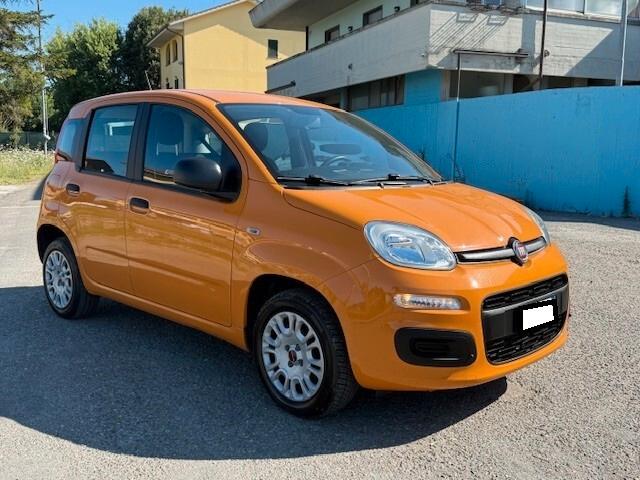 Fiat Panda 1.2 Easy iva esposta