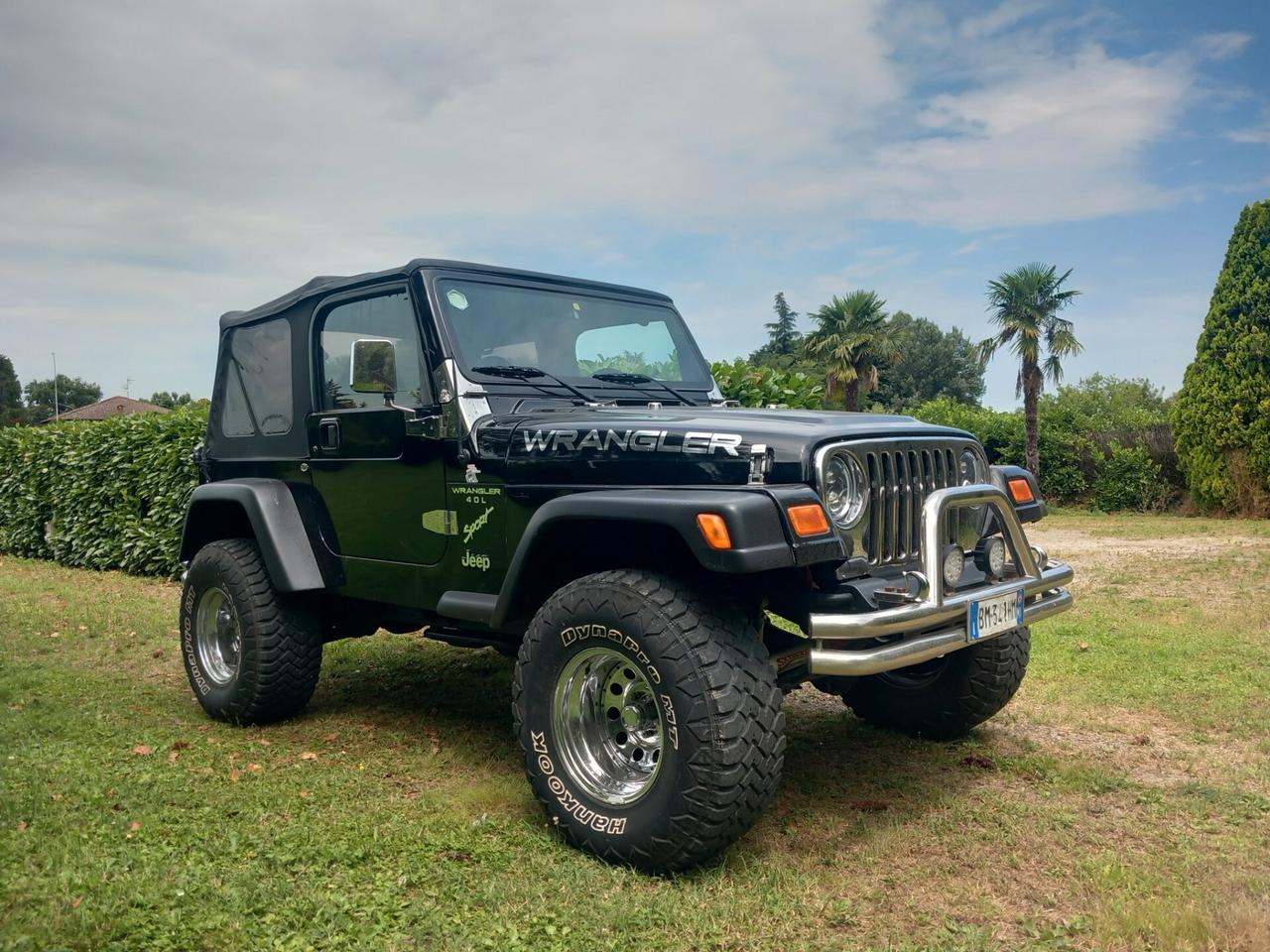 Jeep Wrangler 4.0 cat Sport